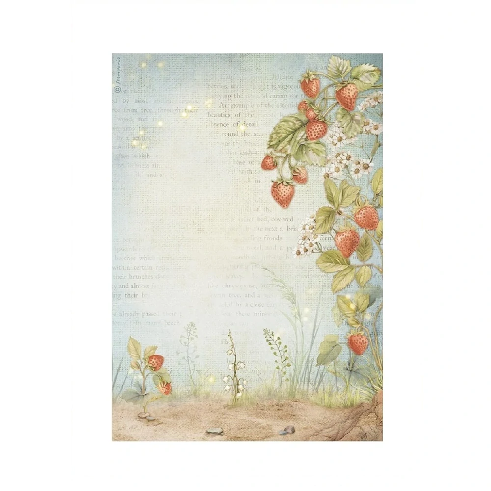 Ryžový papier Stamperia DFSA41014