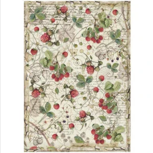 Ryžový papier Stamperia DFSA4429