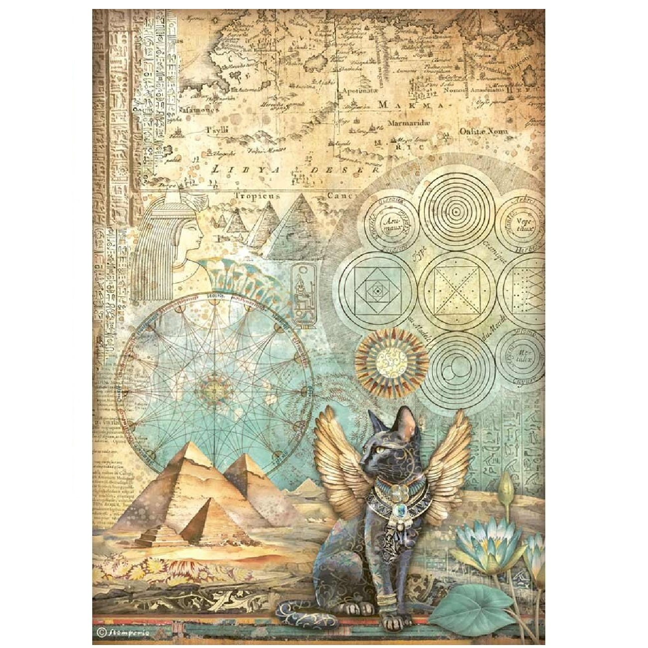 Ryžový papier Stamperia DFSA4873