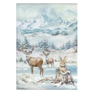 Ryžový papier Stamperia DFSA41055