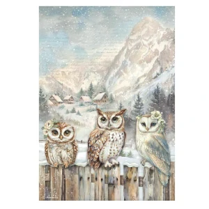 Ryžový papier Stamperia DFSA41054