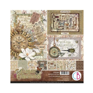 Ciao Bella Scrapbook papier Cabinet of Curiosities 8x8
