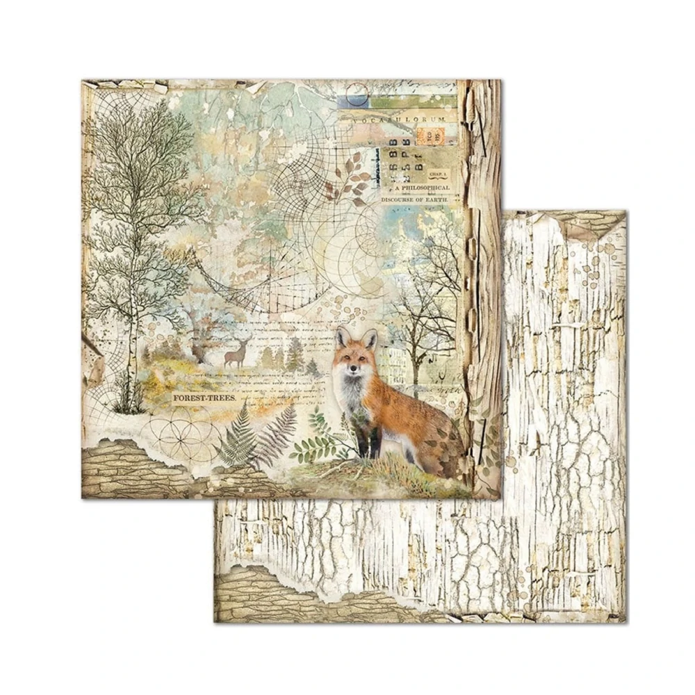 Stamperia Scrapbook papier – Forest 8x8