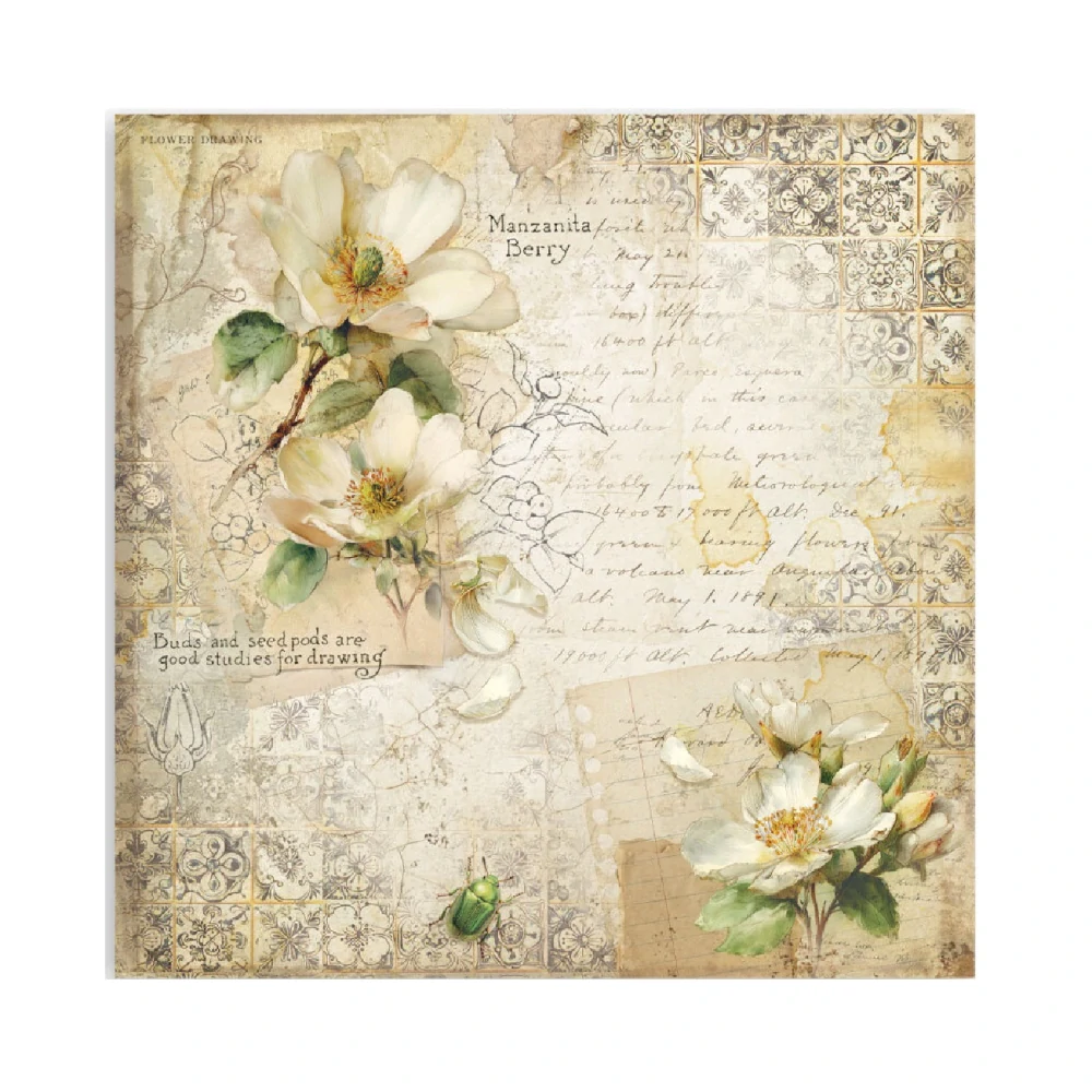 Stamperia Scrapbook papier – All Around 12x12 Maxi
