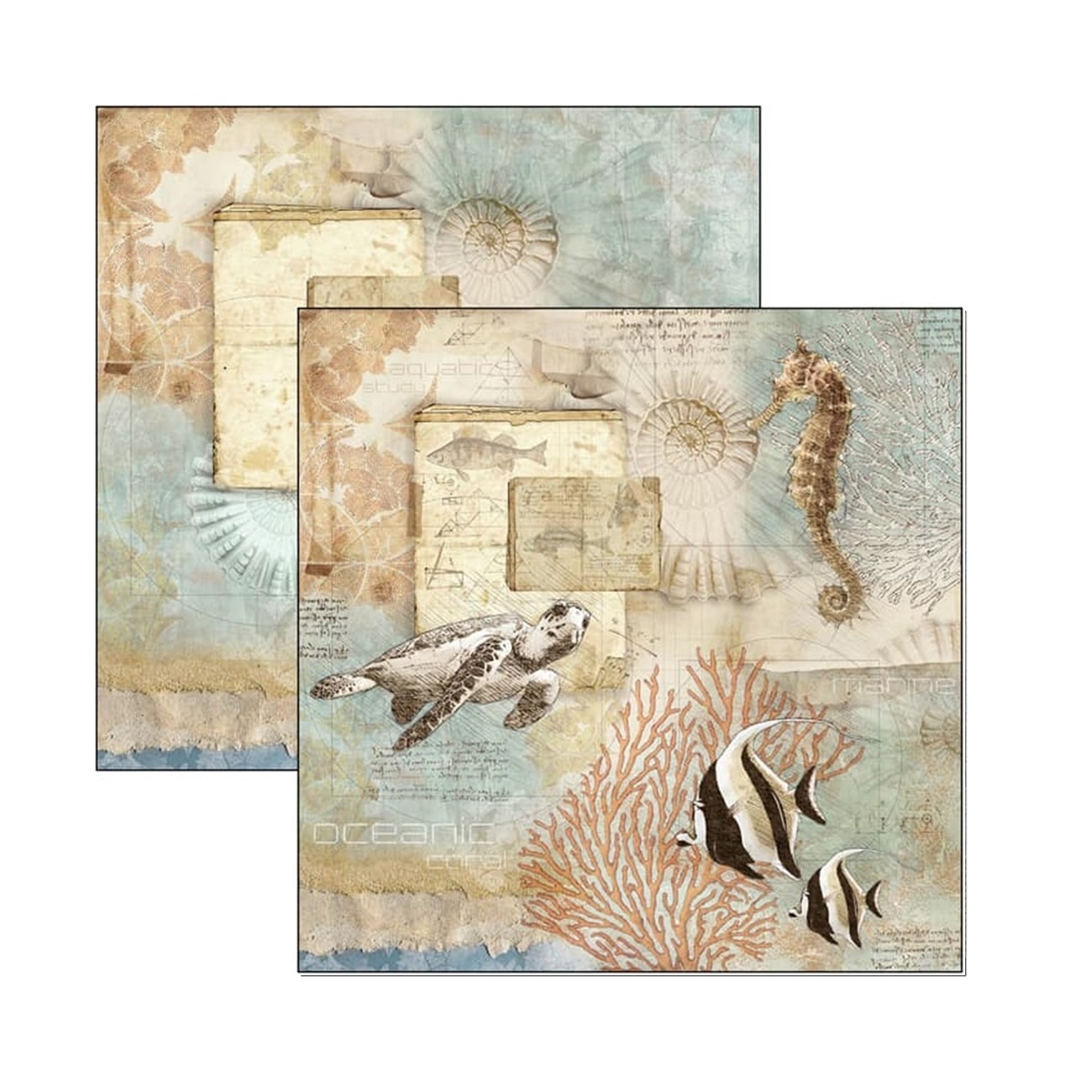 Ciao Bella Scrapbook papier Sign of the Times 12x12