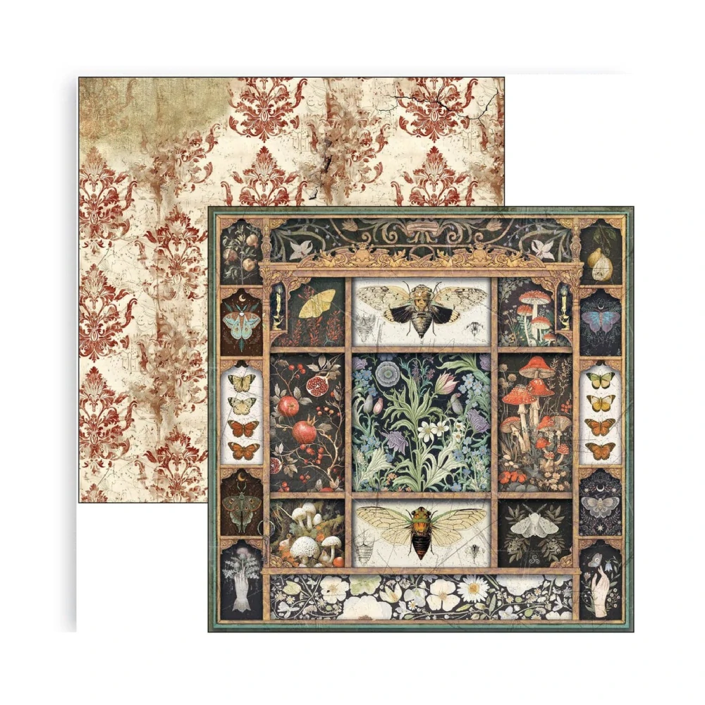 Ciao Bella Scrapbook papier Cabinet of Curiosities 12x12