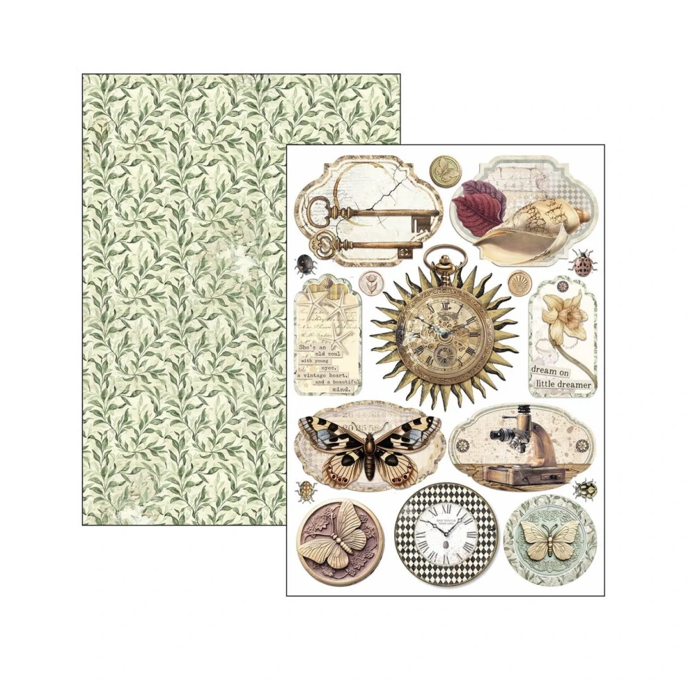 Ciao Bella Scrapbook papier Cabinet of Curiosities A4