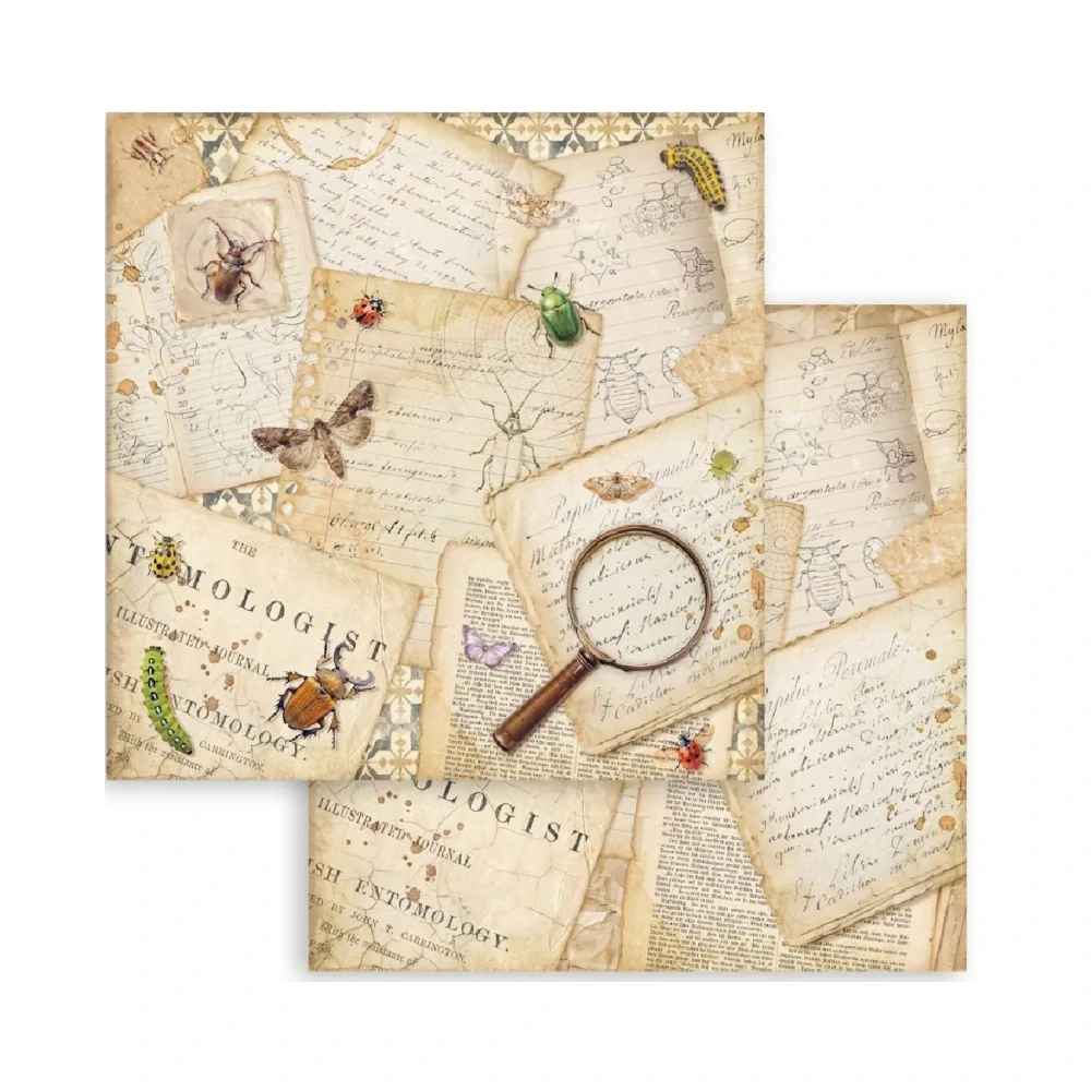Stamperia Scrapbook papier – All Around 12x12
