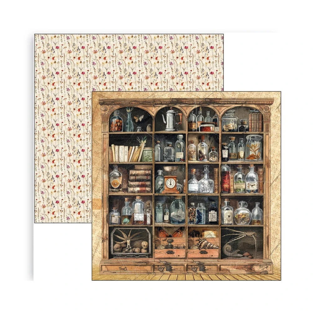Ciao Bella Scrapbook papier Cabinet of Curiosities 12x12