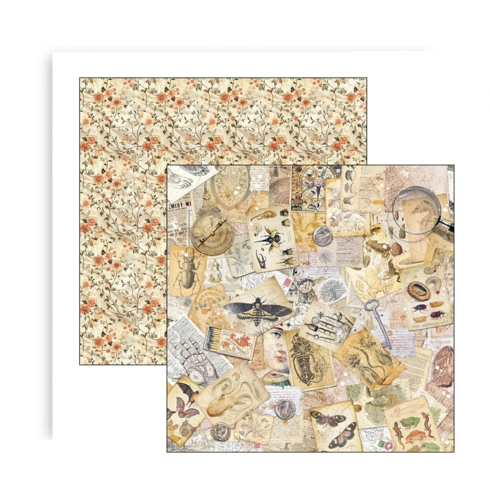 Ciao Bella Scrapbook papier Cabinet of Curiosities 8x8