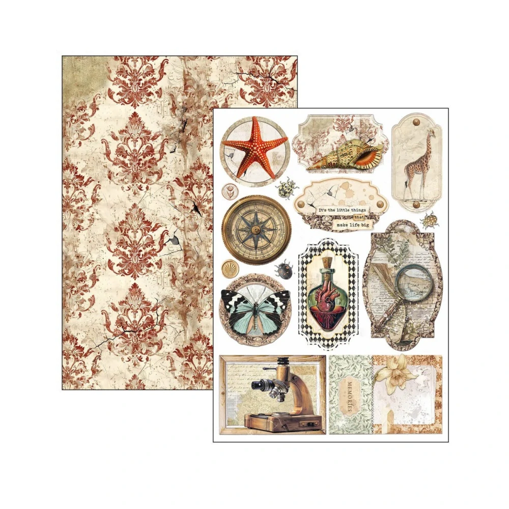 Ciao Bella Scrapbook papier Cabinet of Curiosities A4