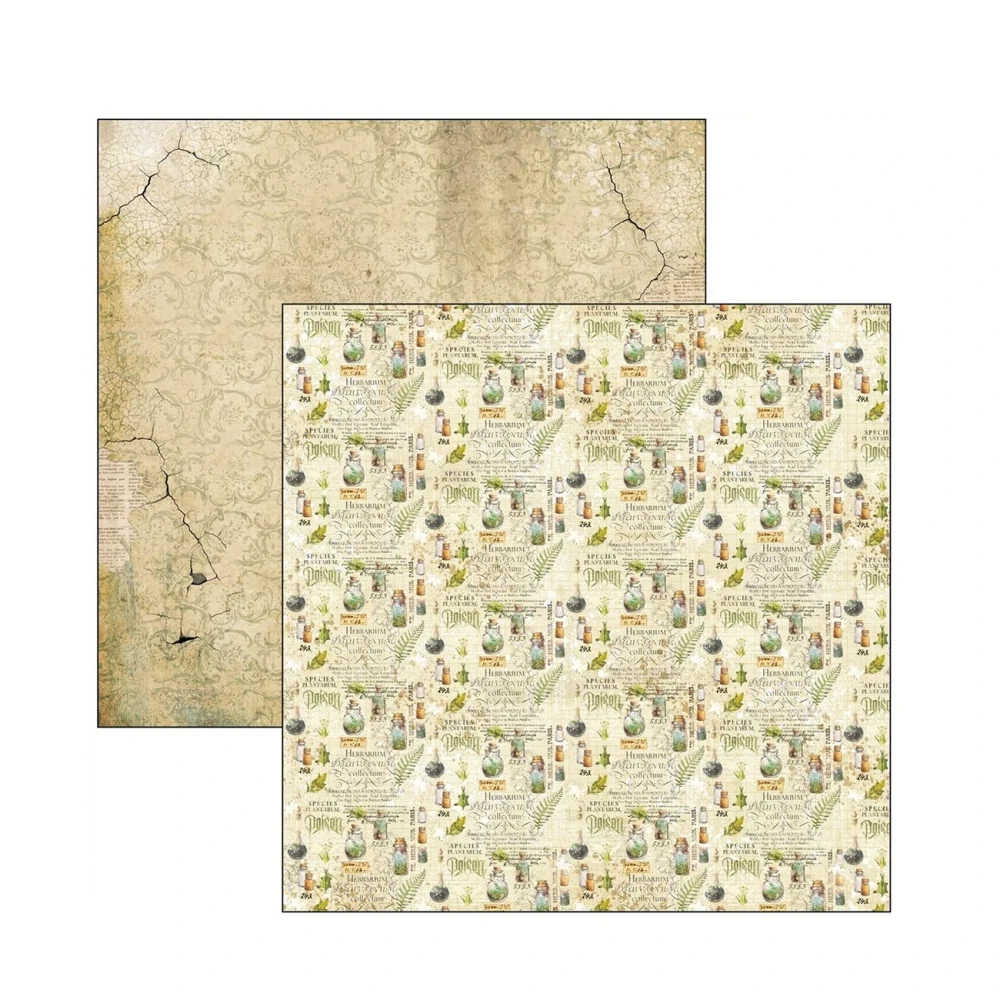 Ciao Bella Scrapbook papier Wizard Academy 12x12