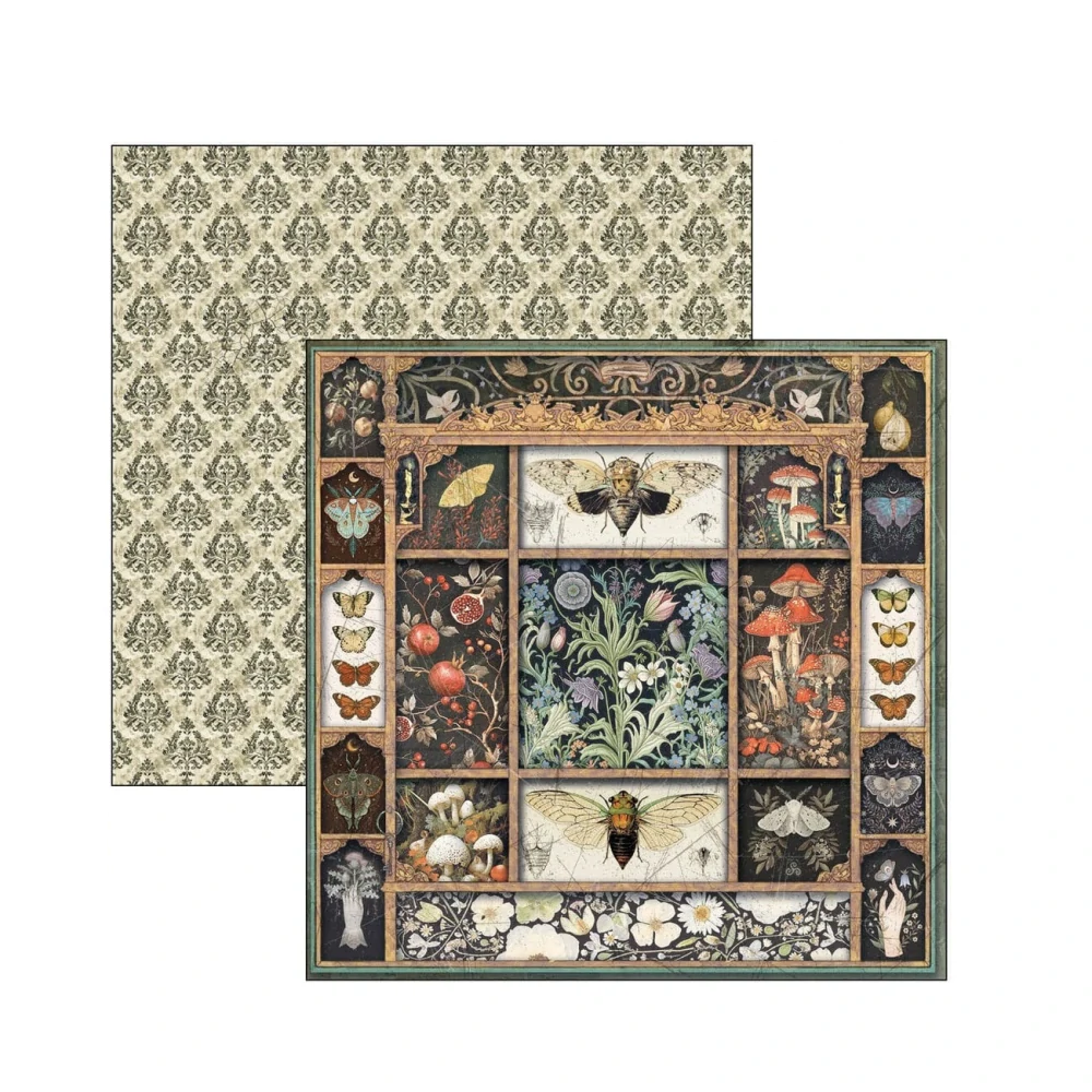 Ciao Bella Scrapbook papier Cabinet of Curiosities 8x8