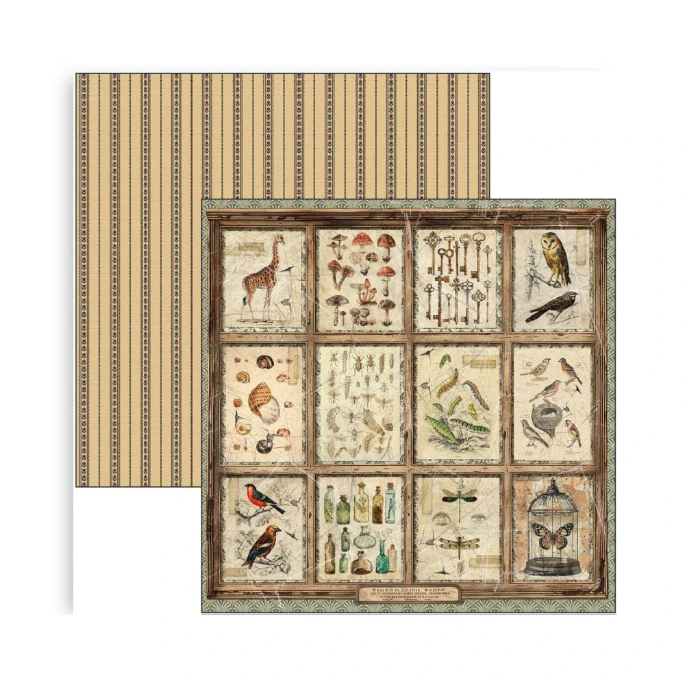 Ciao Bella Scrapbook papier Cabinet of Curiosities 12x12
