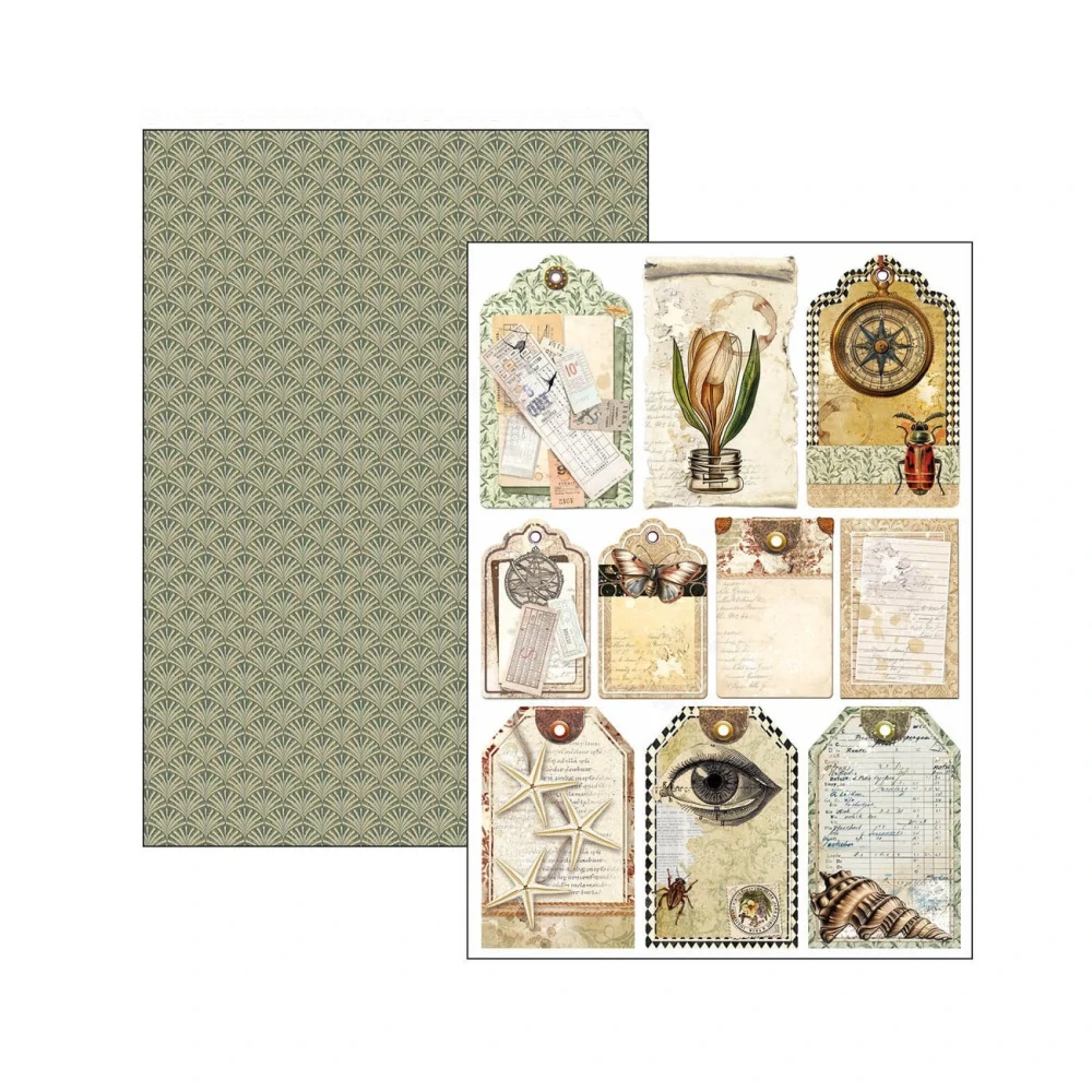 Ciao Bella Scrapbook papier Cabinet of Curiosities A4