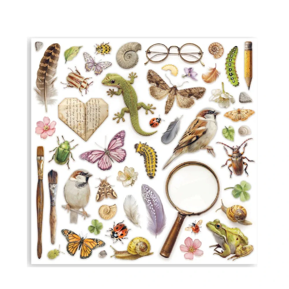 Stamperia Scrapbook papier – All Around 12x12 Maxi