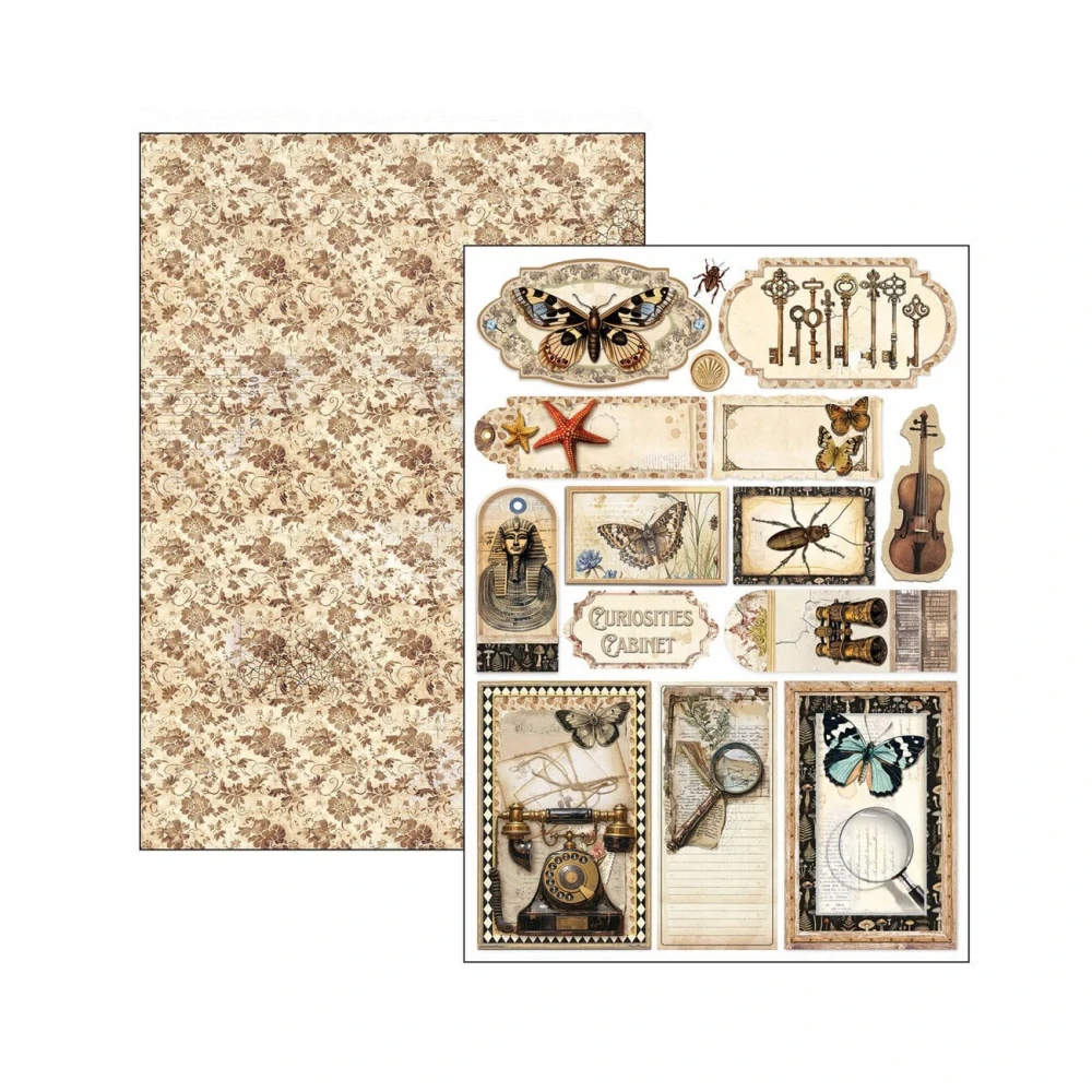 Ciao Bella Scrapbook papier Cabinet of Curiosities A4