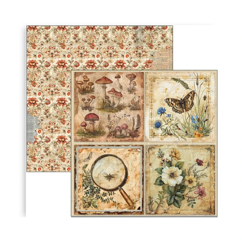 Ciao Bella Scrapbook papier Cabinet of Curiosities 12x12