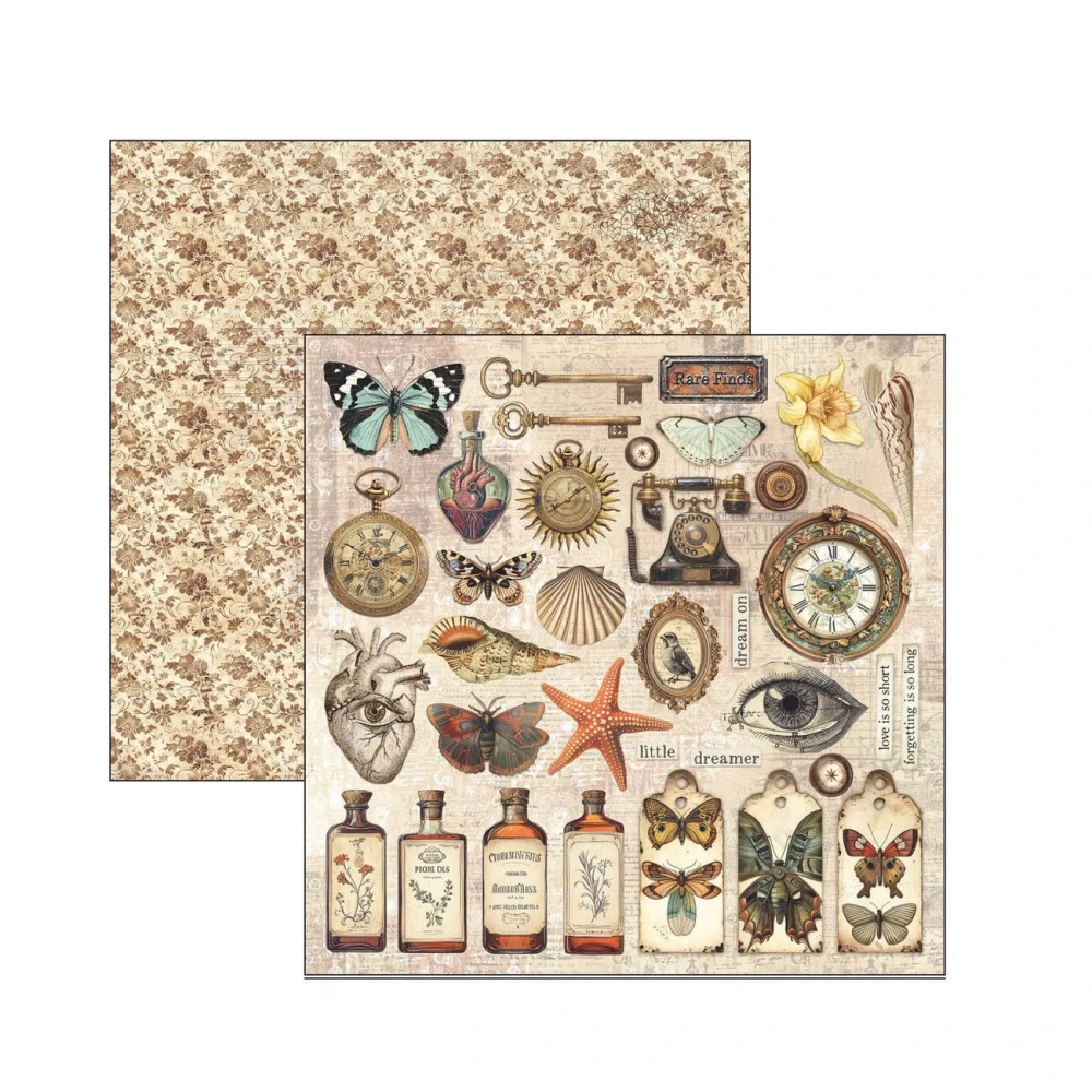 Ciao Bella Scrapbook papier Cabinet of Curiosities 8x8