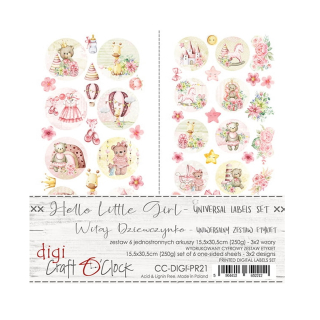 Craft O´ Clock Scrapbook papier - Hello Little Girl Labels 6x12