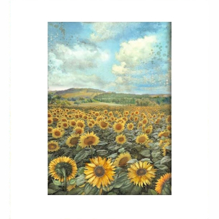 Ryžový papier Stamperia DFSA4770