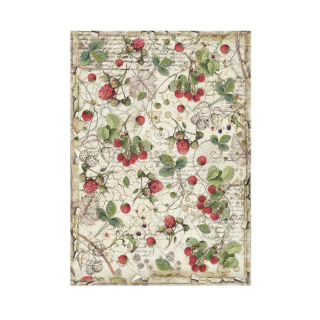Ryžový papier Stamperia DFSA4429
